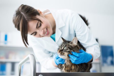 AdobeStock_104843963-1600x1600