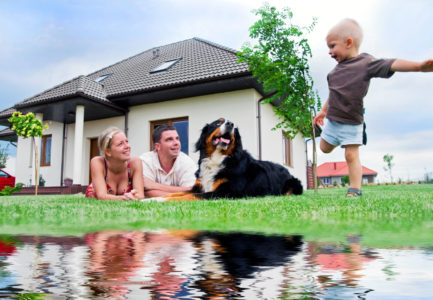 adobestock_16148353-1600x1600