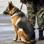 AdobeStock_3044809-1600x1600