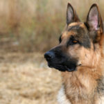 adobestock_70592108-1600x1600