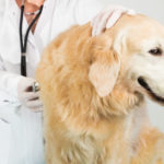 adobestock_74800908-1600x1600