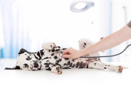 AdobeStock_78621981-1600x1600