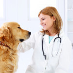 Pet Health Insurance