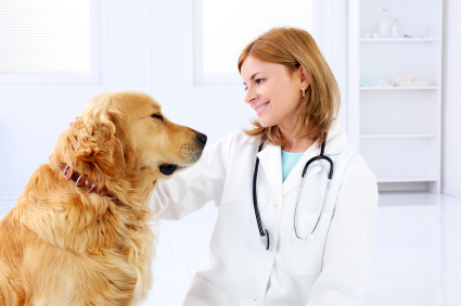 Pet Health Insurance